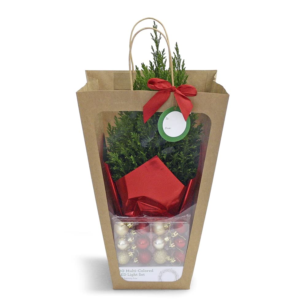 Tree in a Bag, 1 EA