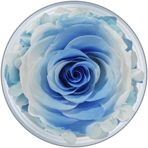 Sunia Preserved Flower Rose Birthday Gifts for Mom, Glass Angels Figurines Gifts for Women Grandma Mothers, Forever Real Flowers Unique Gifts for Valentine Mother's Day Anniversary Thanksgiving ﻿