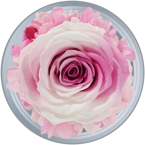 Sunia Preserved Flower Rose Birthday Gifts for Mom, Glass Angels Figurines Gifts for Women Grandma Mothers, Forever Real Flowers Unique Gifts for Valentine Mother's Day Anniversary Thanksgiving ﻿