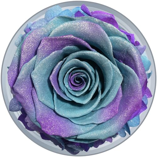 Sunia Preserved Flower Rose Birthday Gifts for Mom, Glass Angels Figurines Gifts for Women Grandma Mothers, Forever Real Flowers Unique Gifts for Valentine Mother's Day Anniversary Thanksgiving ﻿