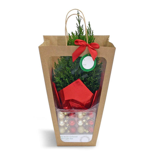 Tree in a Bag, 1 EA