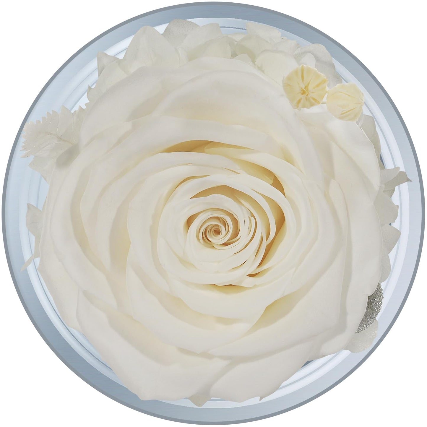 Sunia Preserved Flower Rose Birthday Gifts for Mom, Glass Angels Figurines Gifts for Women Grandma Mothers, Forever Real Flowers Unique Gifts for Valentine Mother's Day Anniversary Thanksgiving ﻿
