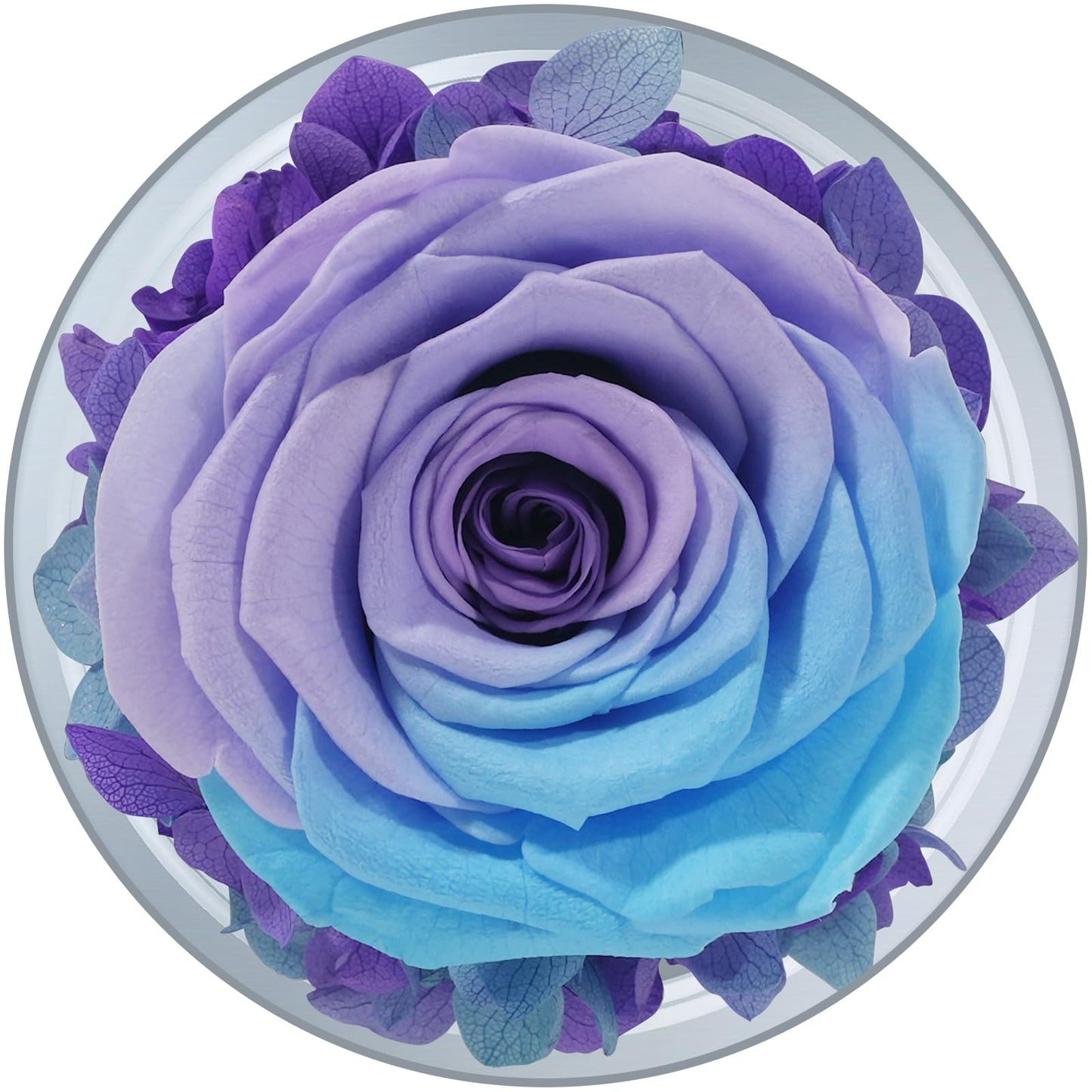 Sunia Preserved Flower Rose Birthday Gifts for Mom, Glass Angels Figurines Gifts for Women Grandma Mothers, Forever Real Flowers Unique Gifts for Valentine Mother's Day Anniversary Thanksgiving ﻿