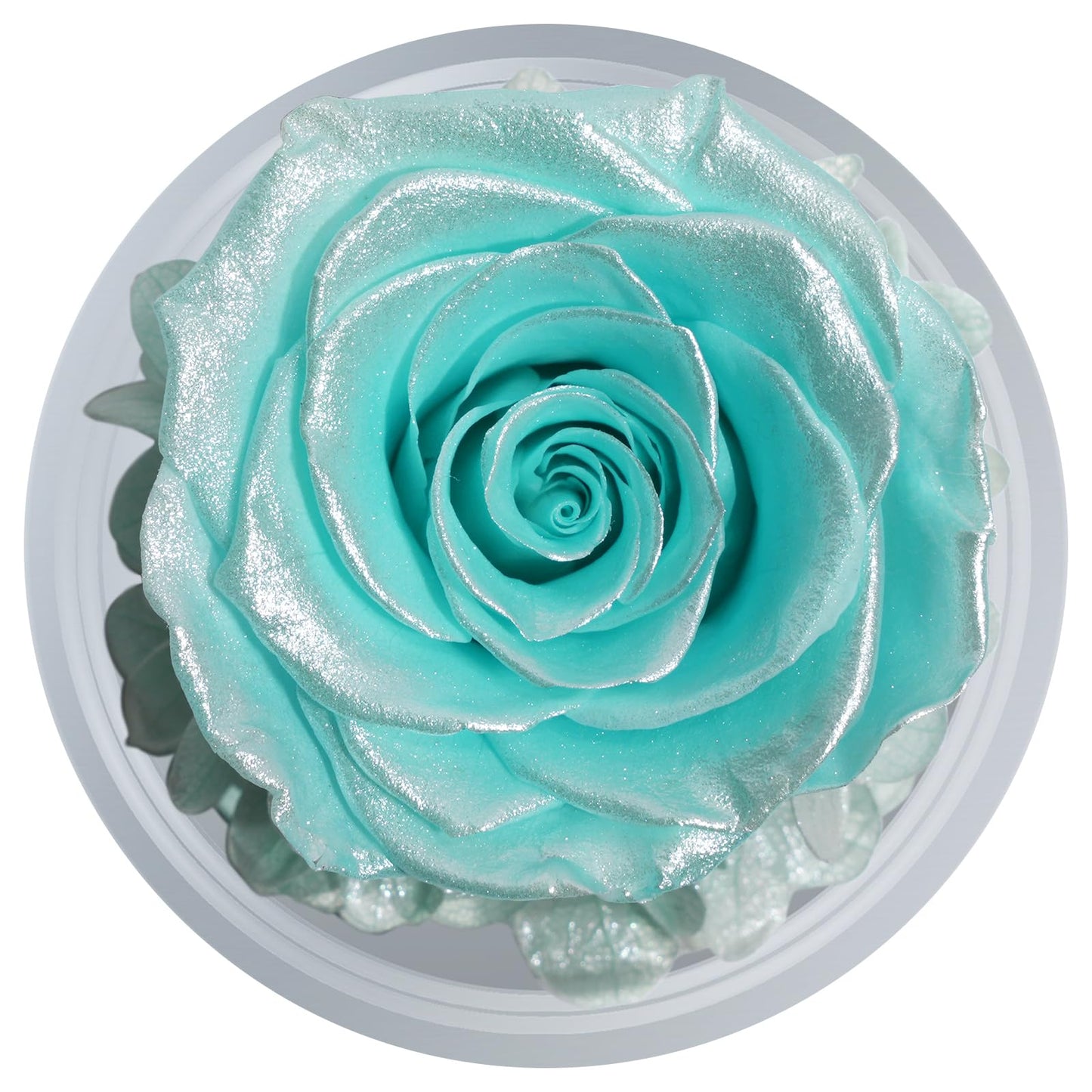 Sunia Preserved Flower Rose Birthday Gifts for Mom, Glass Angels Figurines Gifts for Women Grandma Mothers, Forever Real Flowers Unique Gifts for Valentine Mother's Day Anniversary Thanksgiving ﻿