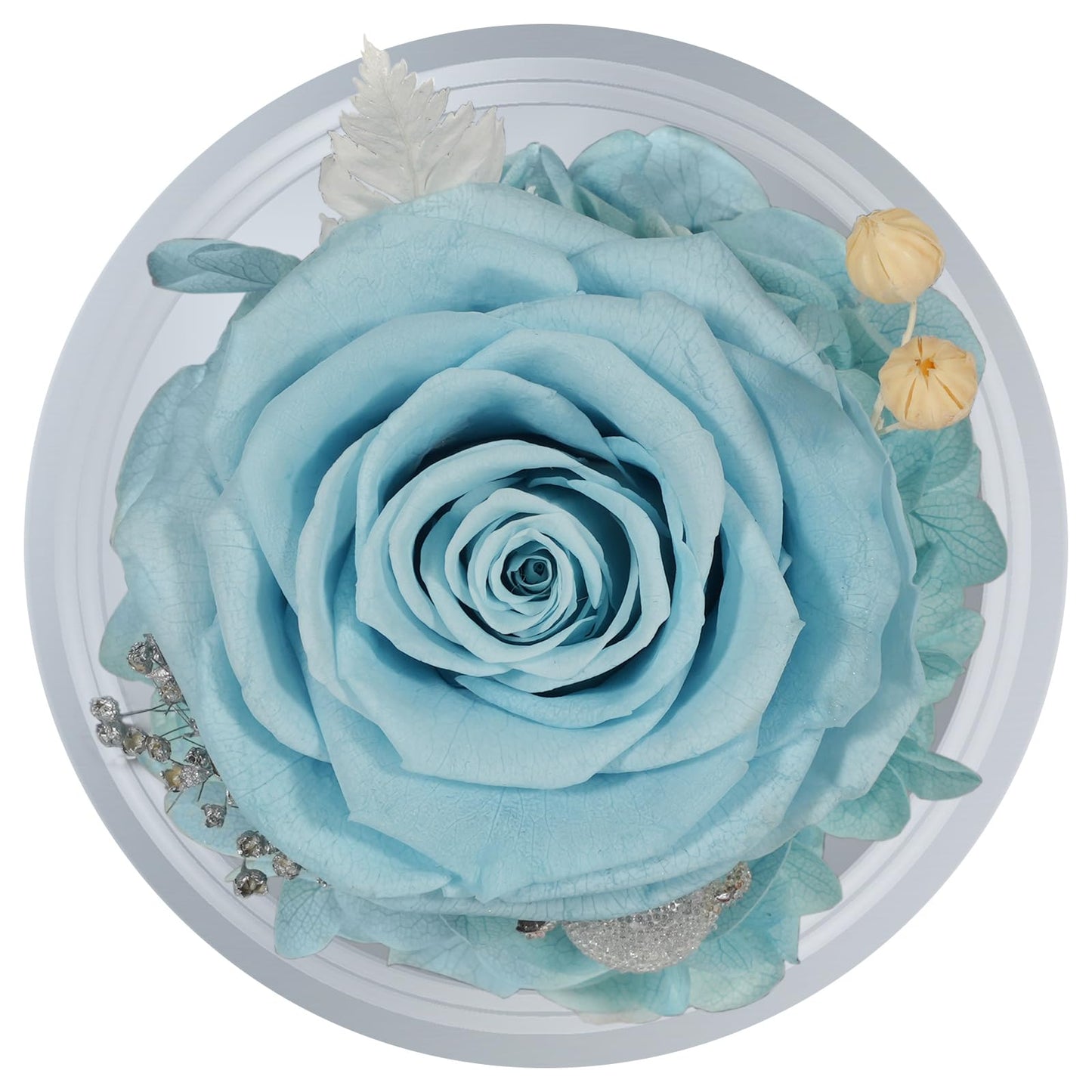 Sunia Preserved Flower Rose Birthday Gifts for Mom, Glass Angels Figurines Gifts for Women Grandma Mothers, Forever Real Flowers Unique Gifts for Valentine Mother's Day Anniversary Thanksgiving ﻿
