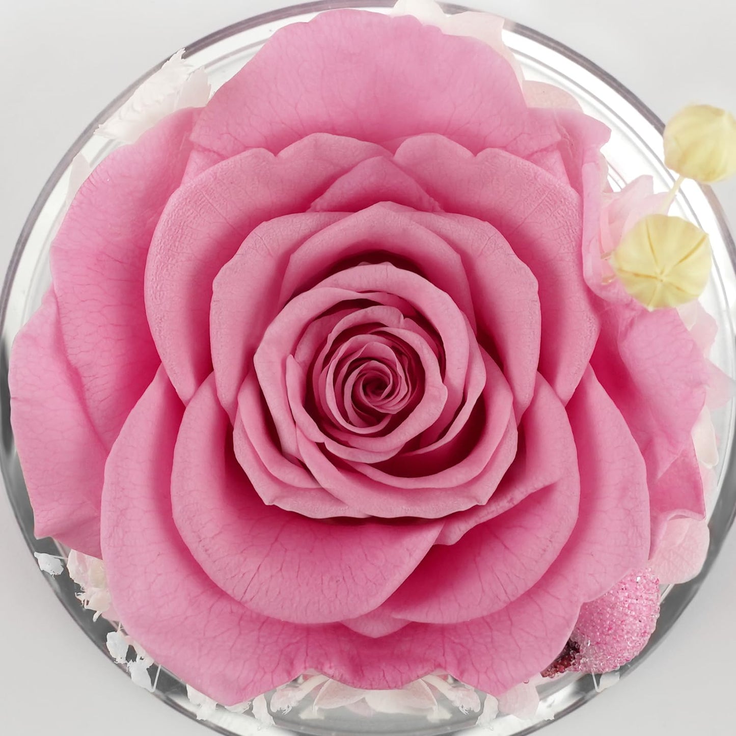 Sunia Preserved Flower Rose Birthday Gifts for Mom, Glass Angels Figurines Gifts for Women Grandma Mothers, Forever Real Flowers Unique Gifts for Valentine Mother's Day Anniversary Thanksgiving ﻿