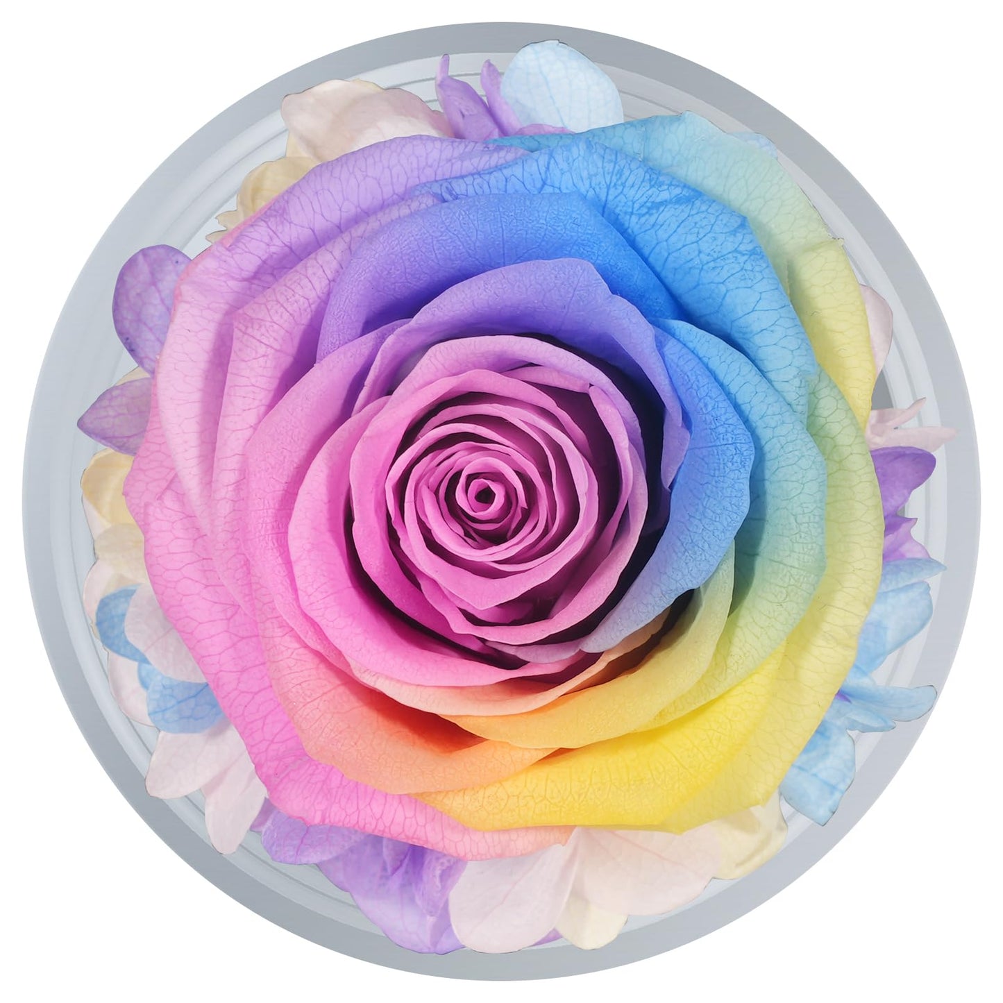 Sunia Preserved Flower Rose Birthday Gifts for Mom, Glass Angels Figurines Gifts for Women Grandma Mothers, Forever Real Flowers Unique Gifts for Valentine Mother's Day Anniversary Thanksgiving ﻿