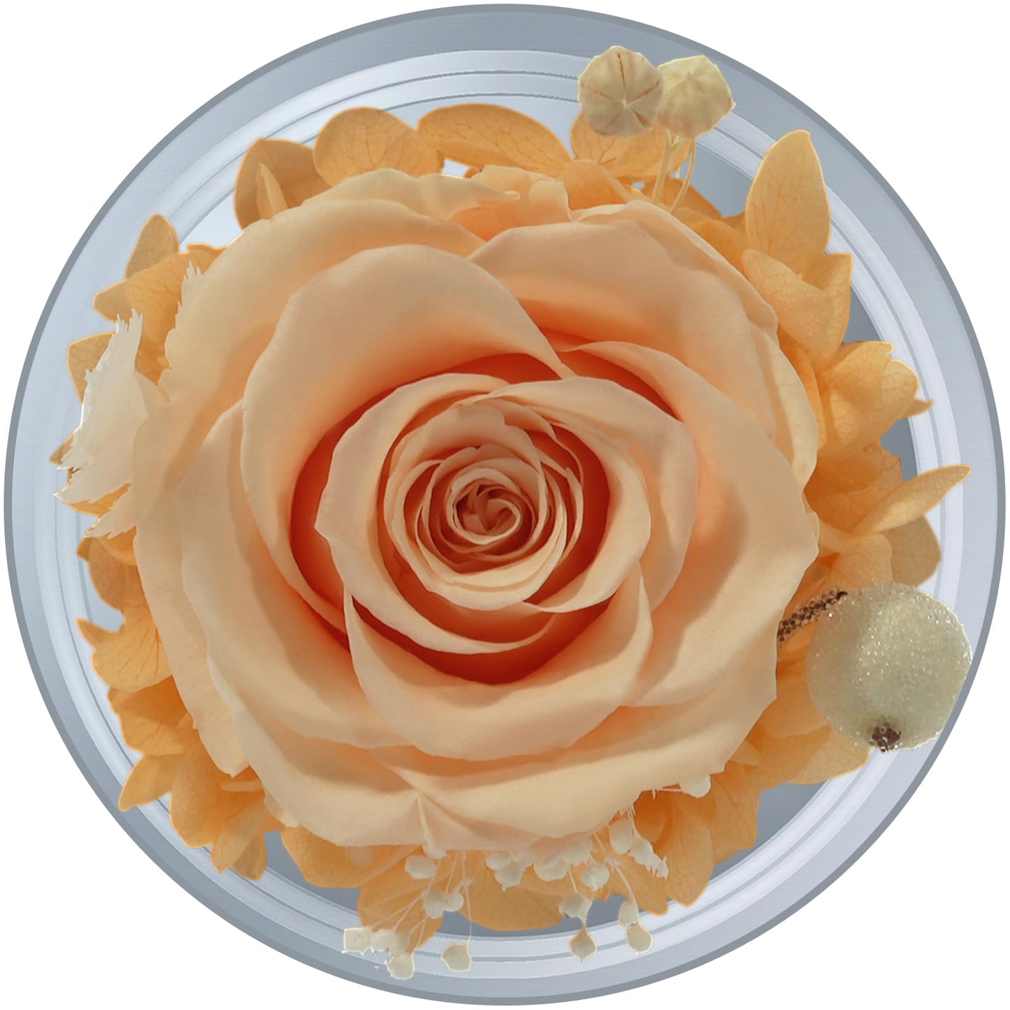 Sunia Preserved Flower Rose Birthday Gifts for Mom, Glass Angels Figurines Gifts for Women Grandma Mothers, Forever Real Flowers Unique Gifts for Valentine Mother's Day Anniversary Thanksgiving ﻿