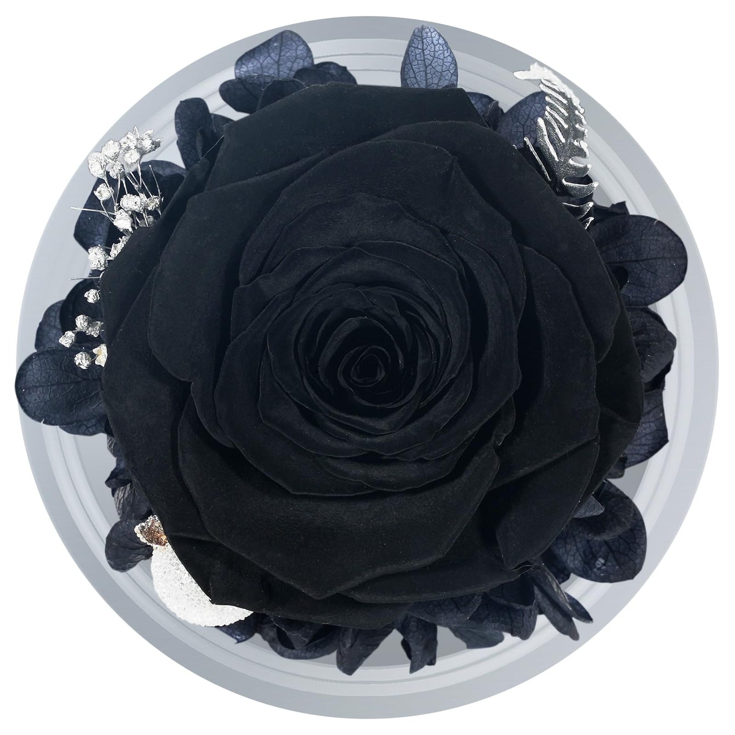 Sunia Preserved Flower Rose Birthday Gifts for Mom, Glass Angels Figurines Gifts for Women Grandma Mothers, Forever Real Flowers Unique Gifts for Valentine Mother's Day Anniversary Thanksgiving ﻿