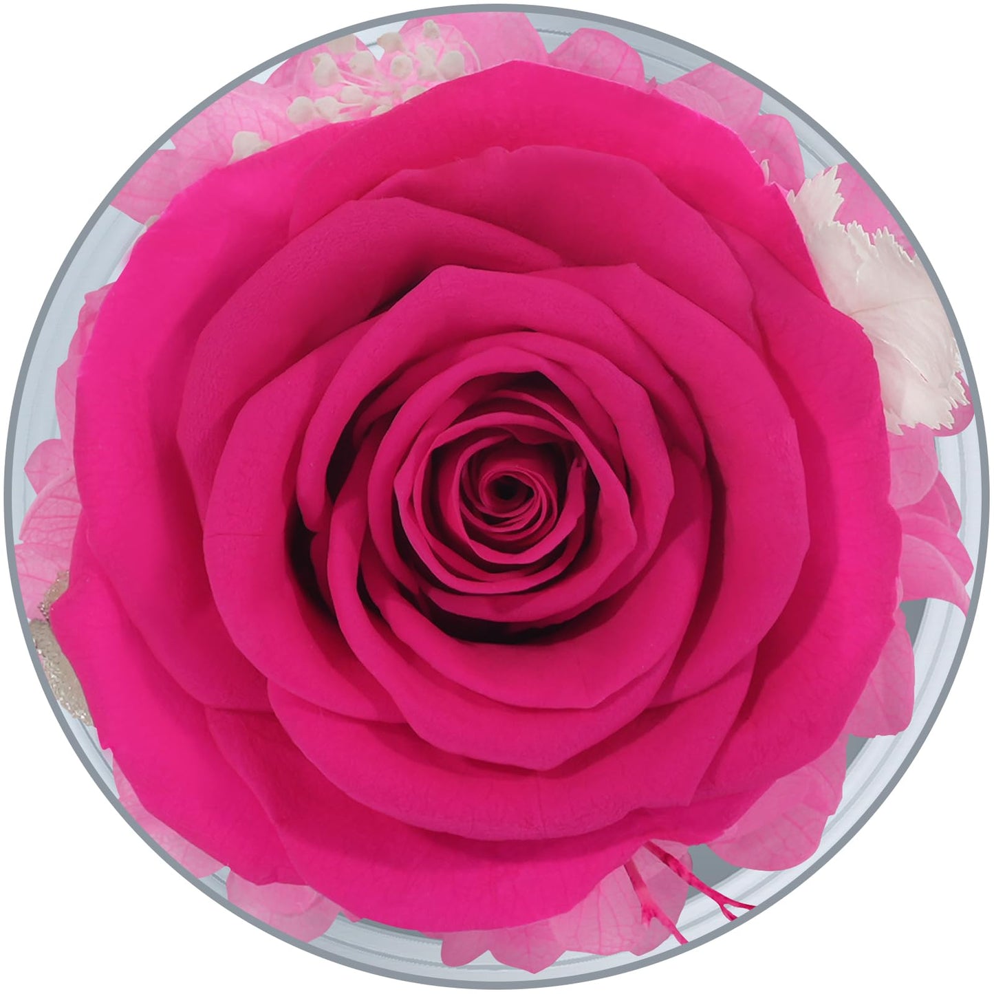 Sunia Preserved Flower Rose Birthday Gifts for Mom, Glass Angels Figurines Gifts for Women Grandma Mothers, Forever Real Flowers Unique Gifts for Valentine Mother's Day Anniversary Thanksgiving ﻿