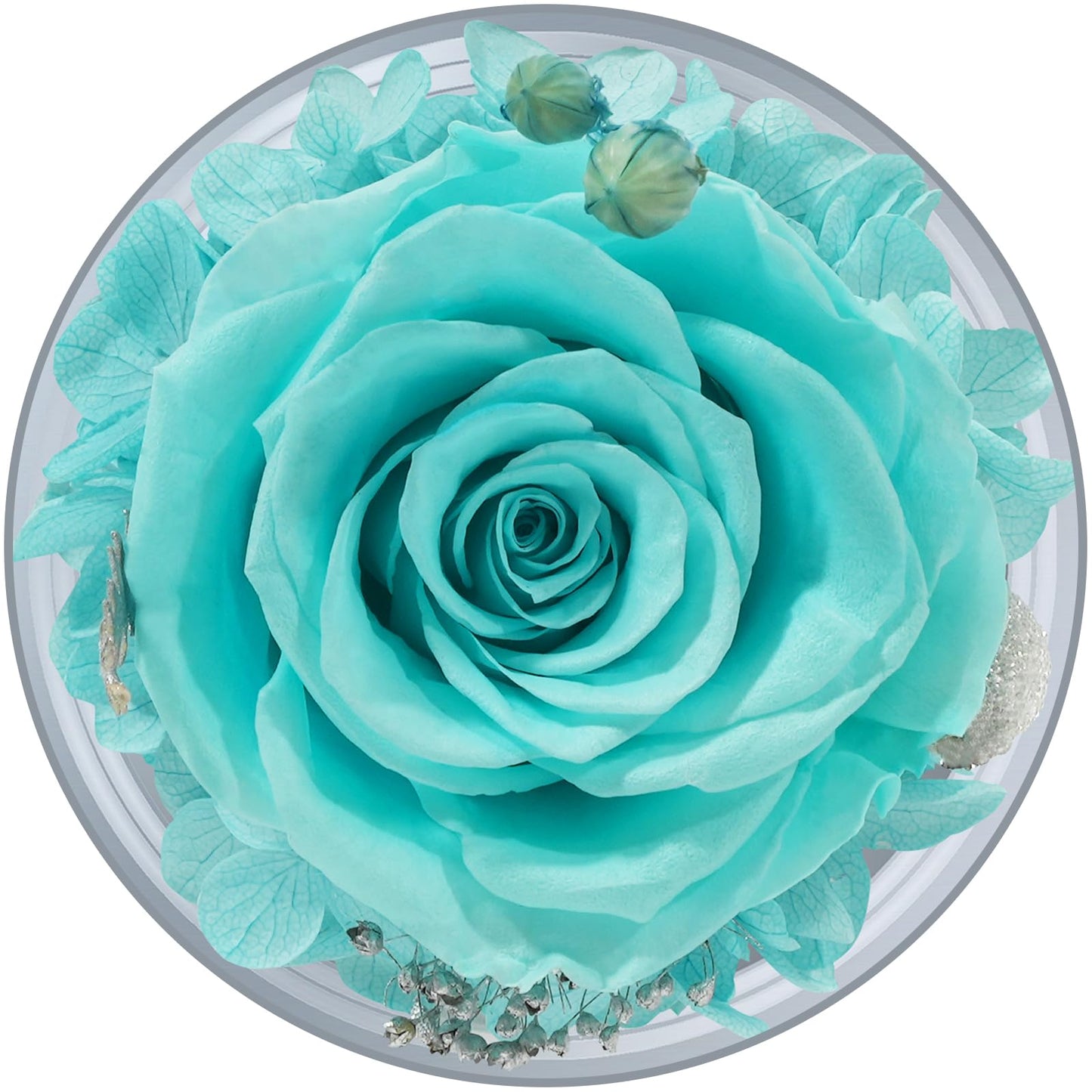 Sunia Preserved Flower Rose Birthday Gifts for Mom, Glass Angels Figurines Gifts for Women Grandma Mothers, Forever Real Flowers Unique Gifts for Valentine Mother's Day Anniversary Thanksgiving ﻿