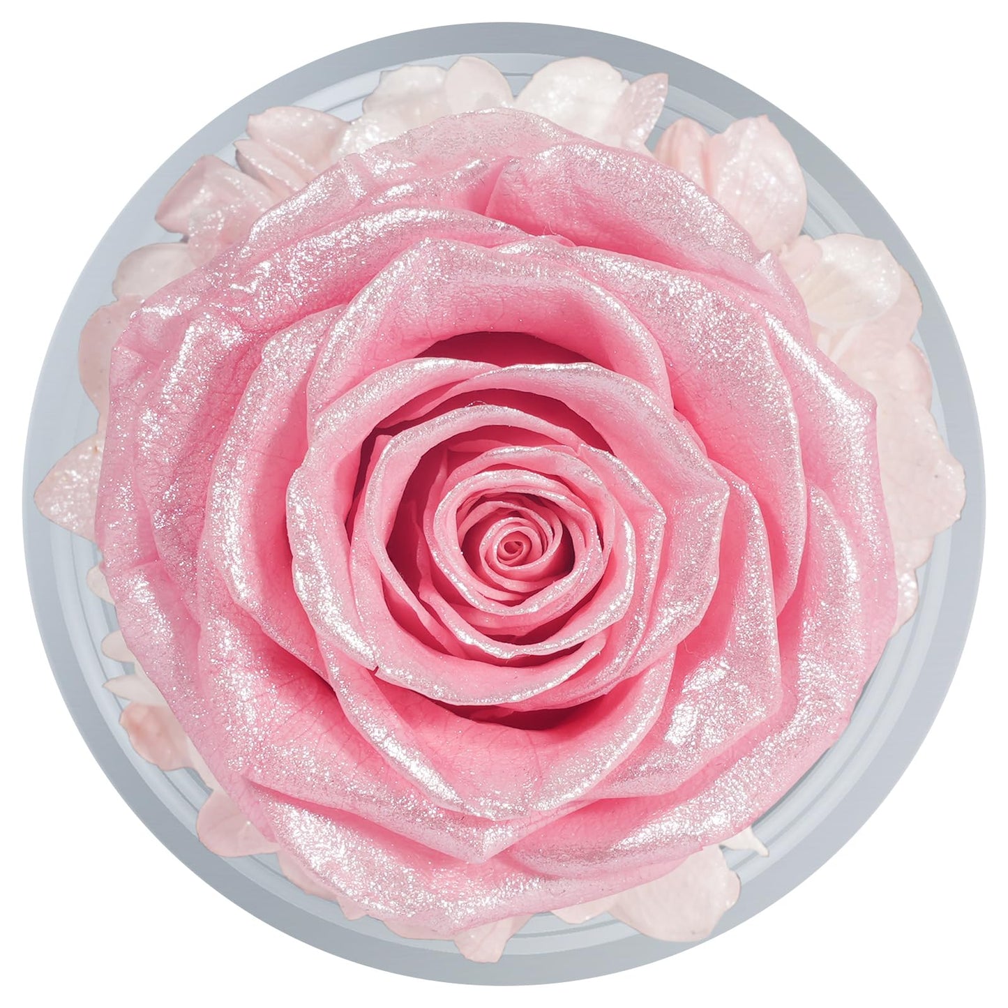 Sunia Preserved Flower Rose Birthday Gifts for Mom, Glass Angels Figurines Gifts for Women Grandma Mothers, Forever Real Flowers Unique Gifts for Valentine Mother's Day Anniversary Thanksgiving ﻿