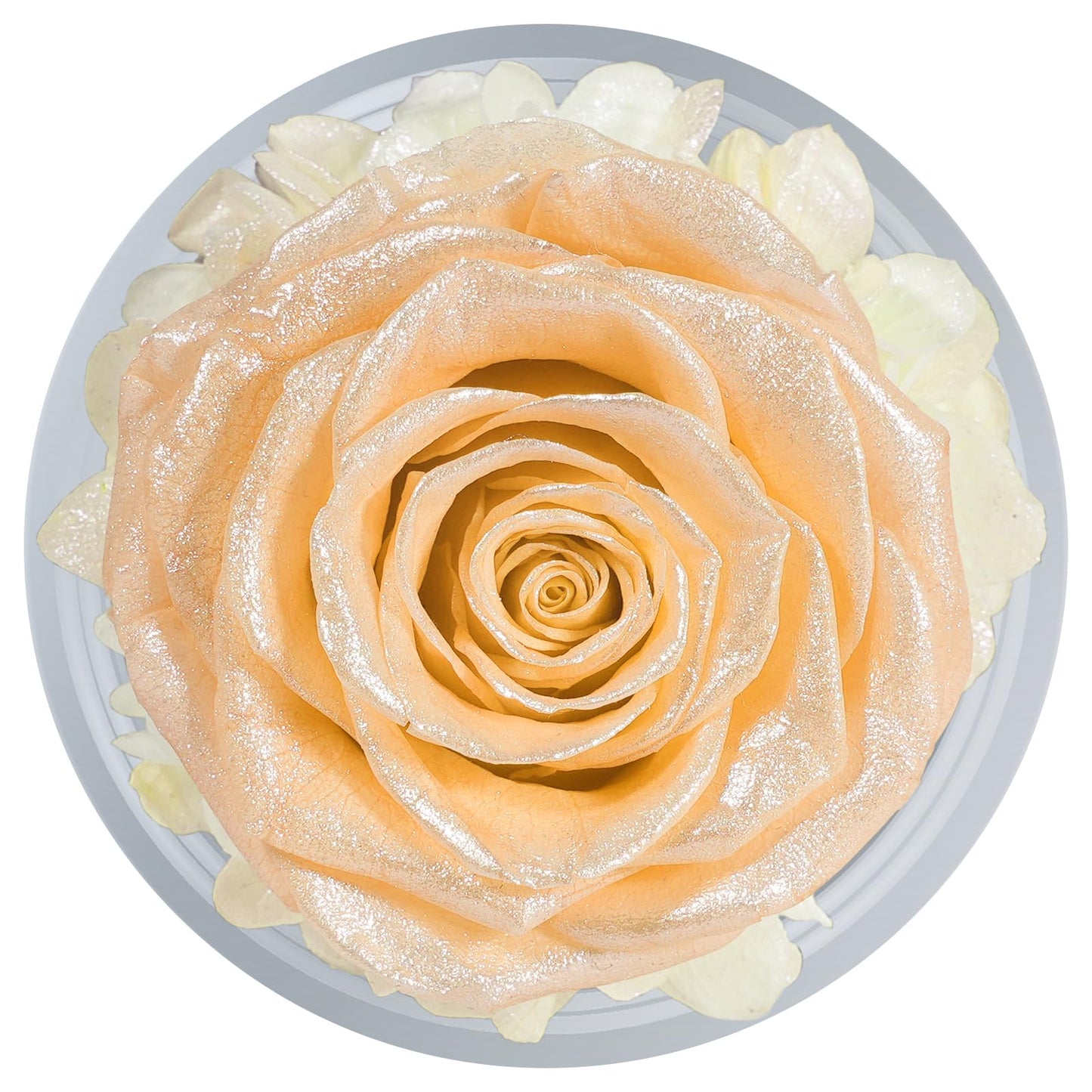 Sunia Preserved Flower Rose Birthday Gifts for Mom, Glass Angels Figurines Gifts for Women Grandma Mothers, Forever Real Flowers Unique Gifts for Valentine Mother's Day Anniversary Thanksgiving ﻿